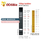10bp DNA Ladder Gel Electrophoresis High Purity Reagents