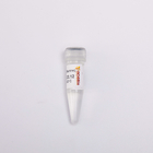 20000U RNase Inhibitor Murine R4001 Colourless Appearance