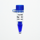 Marker 1 DNA Marker Electrophoresis 400bp 50ug Blue Appearance