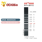 1000bp DS 5000 DNA Electrophoresis Marker , DNA Ladder For RNA Gel