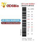 100bp 300bp LD Low Ladder DNA Marker Electrophoresis