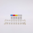 R1031 GDSBio First Strand CDNA Synthesis RT-PCR Mix For QPCR Premixed RNA Reverse Transcriptase PCR Reagents