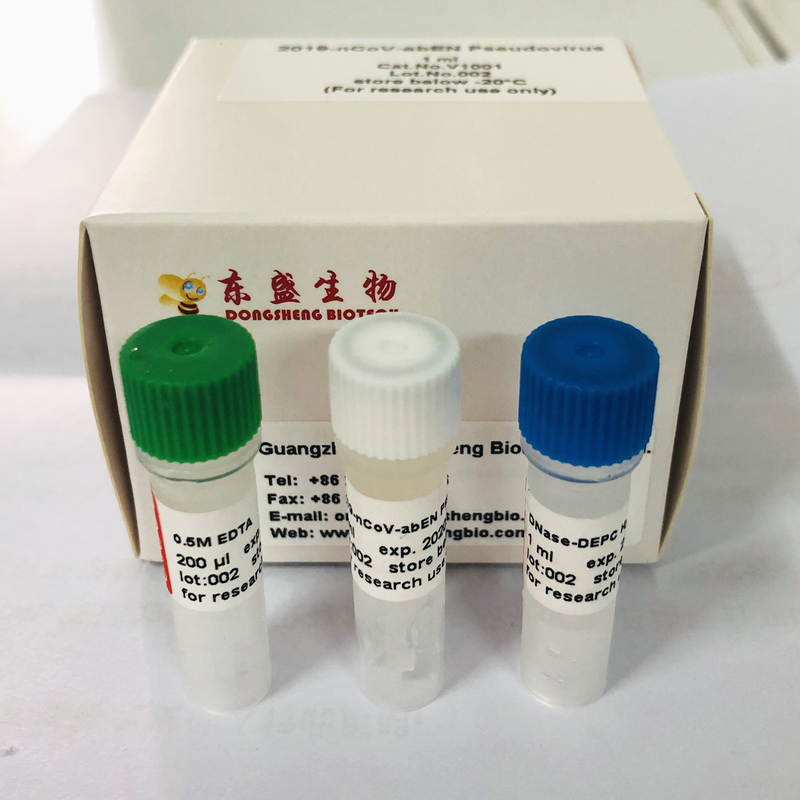 2019-NCoV-AbEN Pseudovirus Viral RNA Kit 1ml Clear Liquid