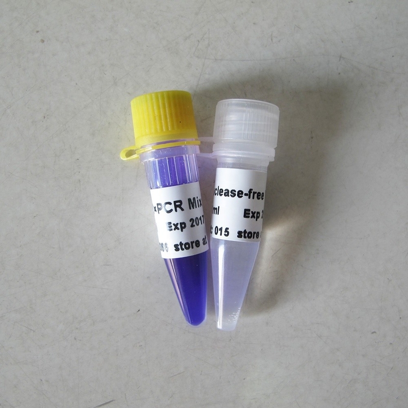250U PCR Master Mix Optimus Hotstart Taq DNA Polymerase PCR Reagent High Specificity P1041