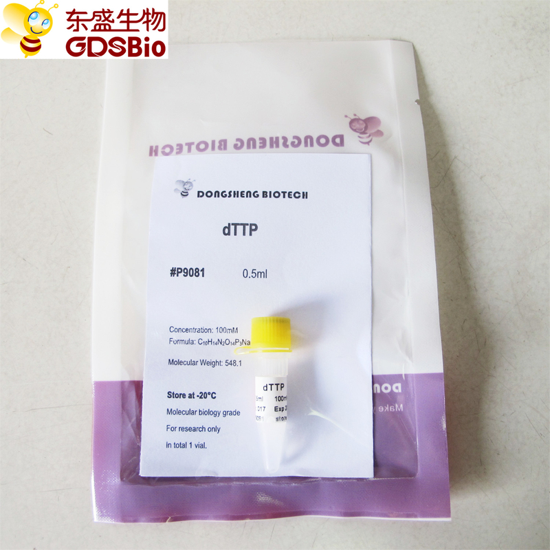 dTTP for PCR qPCR P9081 0.5ml