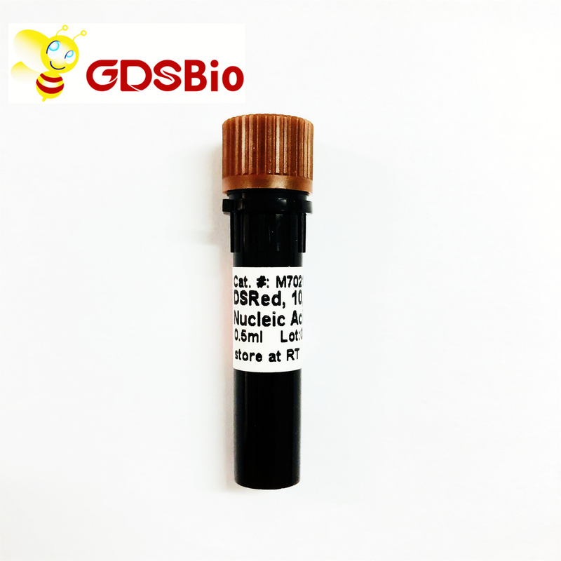 DSRed Non Toxic Nucleic Acid Gel Stain 10000× M7021 0.5 Ml