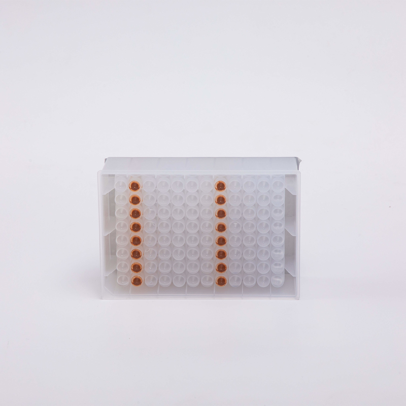 Magnetic Beads Viral DNA RNA Extraction Kit GDSBio