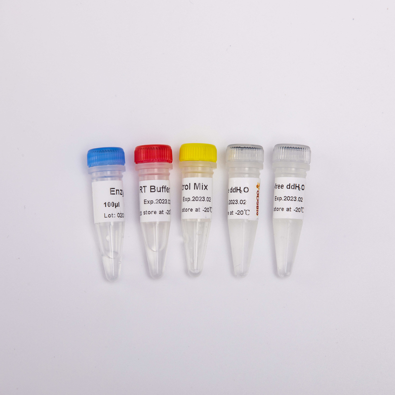 GDSBio Reverse Transcriptase PCR Reagents