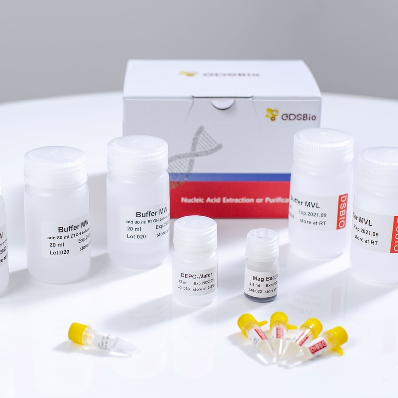 Swab Saliva Viral DNA Magnetic Beads RNA Extraction Kit