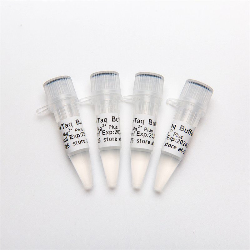 10× PCR Buffer (Mg2+ Plus) P5011 1.25ml×4