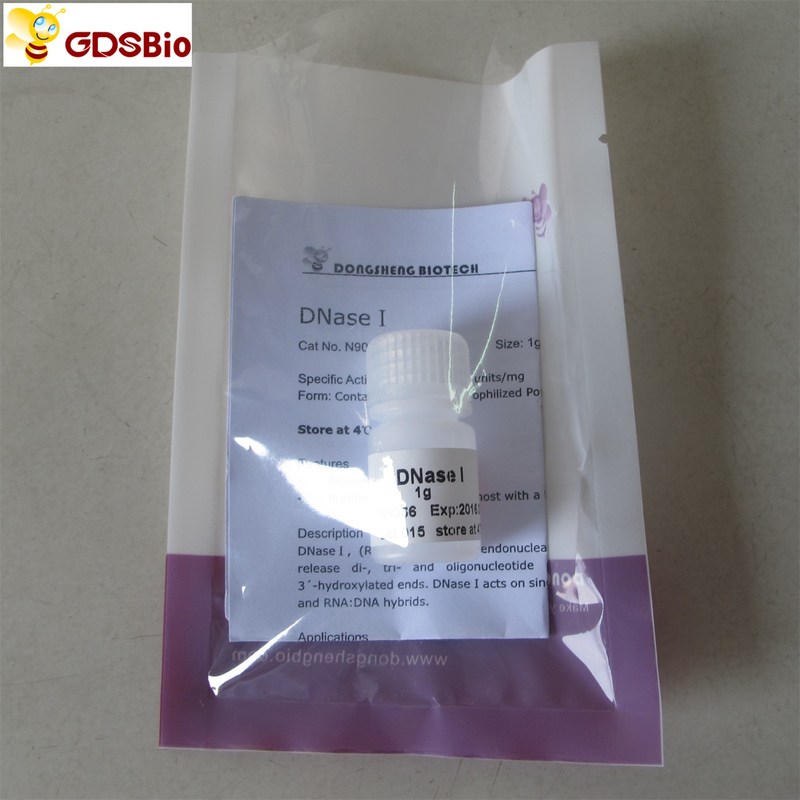 White Lyophilized Powder DNase I Powder N9069 1g BR Grade