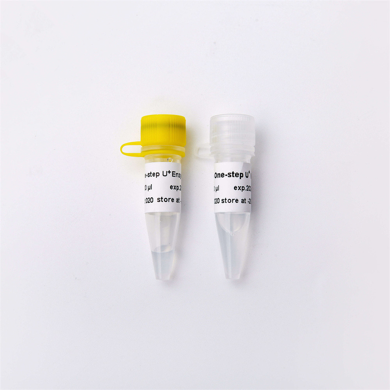 High Specificity One Step RNA/DNA RT QPCR Master Mix With UDG V3